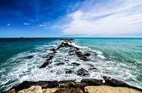 The path to the sea