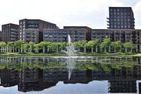 Reflecties in Paleiskwartier