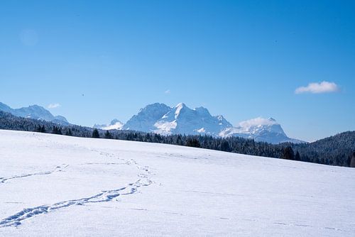 Besneeuwde bergweiden bij Mittenwald, ingebed in de winterse bergwereld van de Alpen.