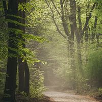 Speulderbos