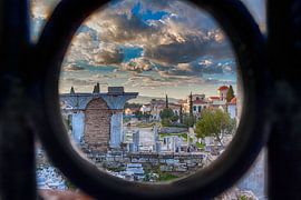 Athene door het hek von Bert Jan Hobbeling