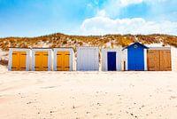 Strandhuisjes bij duin en strandwallenlandschap Domburg