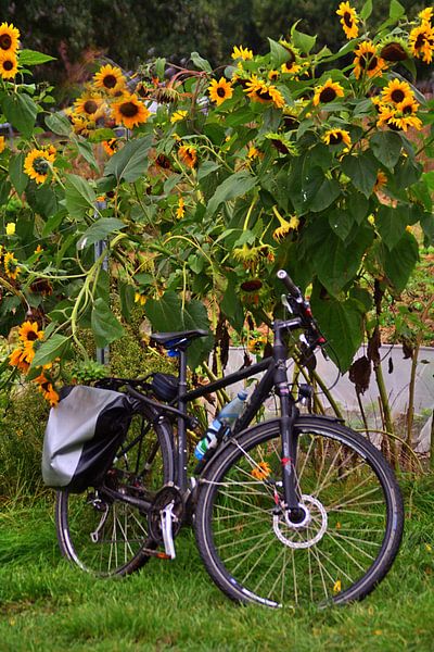 Bicyclette par Edgar Schermaul