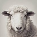 Portrait of a sheep by Vlindertuin-Art thumbnail