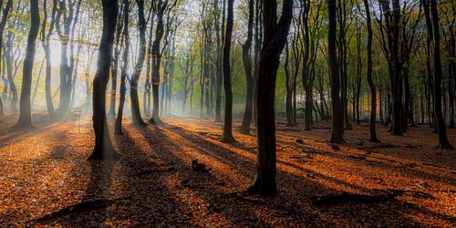 Speulderbos (Nederland)