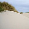 Texelse Duinen van Marcel Mooij
