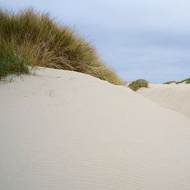 Dunes de Texel sur Marcel Mooij