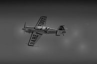 Sukhoi 29 by Raymond Engelen thumbnail