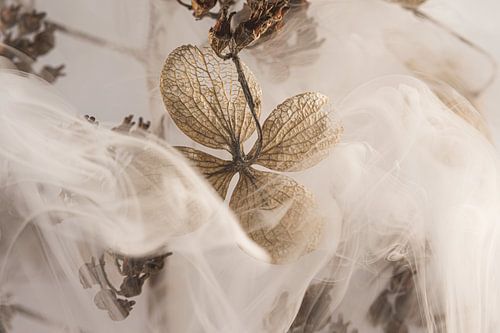 Ländliche Szene mit einem Hauch von Rauch von Marjolijn van den Berg