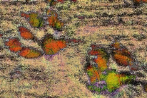 Pootafdrukken als vlinders