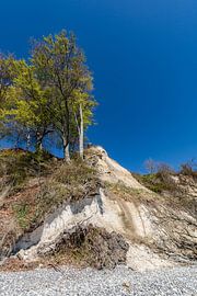 Roches de craie dans la Stubbenkammer près de Sassnitz sur GH Foto & Artdesign