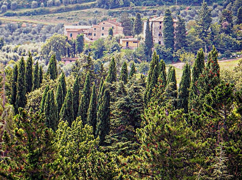 Toscaans platteland bij Cetona van Dorothy Berry-Lound