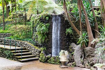 waterfall in tripcal garden Monte Madeira by ChrisWillemsen