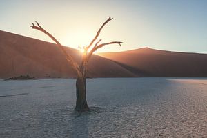 Namibie Lever de soleil sur la Deadvlei