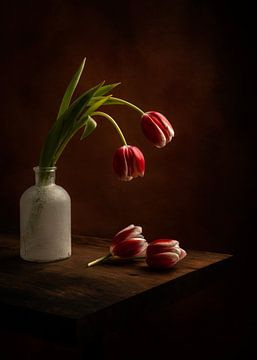 Rouwende tulpen - fine art fotografie still leven van Misty Melodies