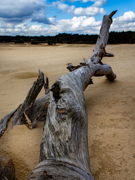 Gequältes Holz von Michiel Zeeman