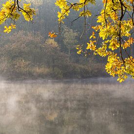 Herbstfarben an einem See im Wald von Paul Wendels