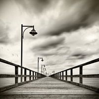 Pier met meeuwen