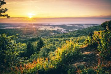 Uitzicht op het bos bij zonsondergang van Fotos by Jan Wehnert