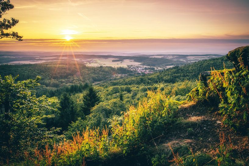 Uitzicht op het bos bij zonsondergang van Fotos by Jan Wehnert
