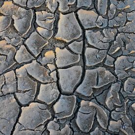 Dry mud von Ron Steens