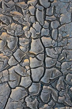 Dry mud by Ron Steens