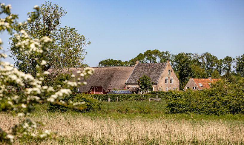 Farm Roode Hoeve in the Zak van Zuid-Beveland by Percy's fotografie