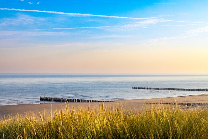 Rast am Strand von Domburg von Danny Bastiaanse