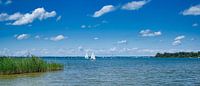 panorama of the Chiemsee in Bavaria with a lot of small sailing boats