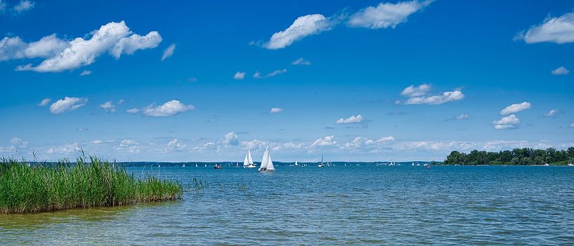 Chiemsee Panorama mit Segelbooten von C. Nass