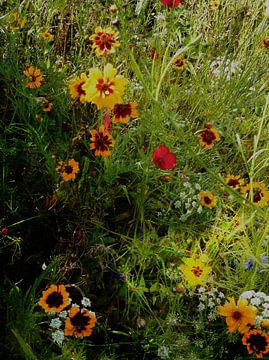 English Cottage Garden Bloemen 1 van Dorothy Berry-Lound