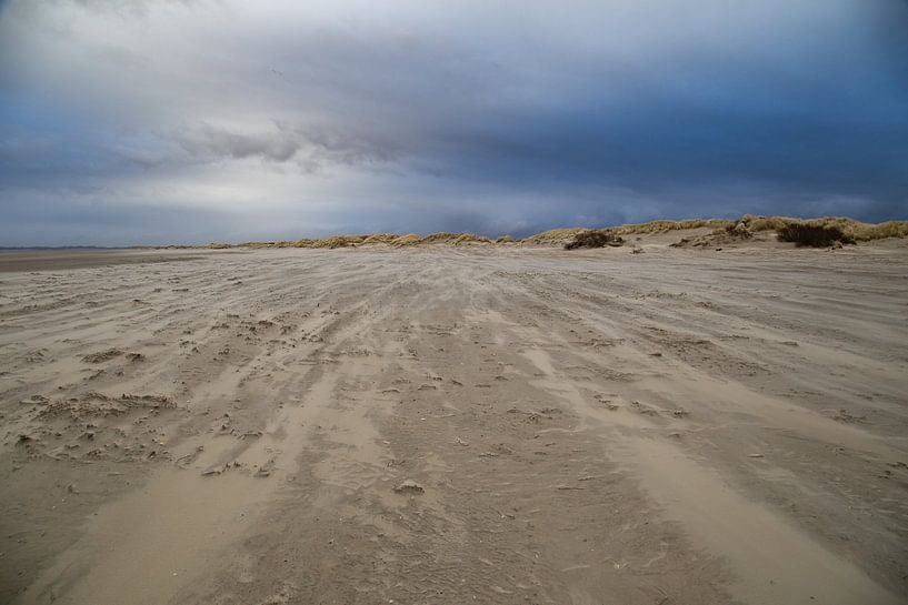 Storm is coming by Louise Poortvliet