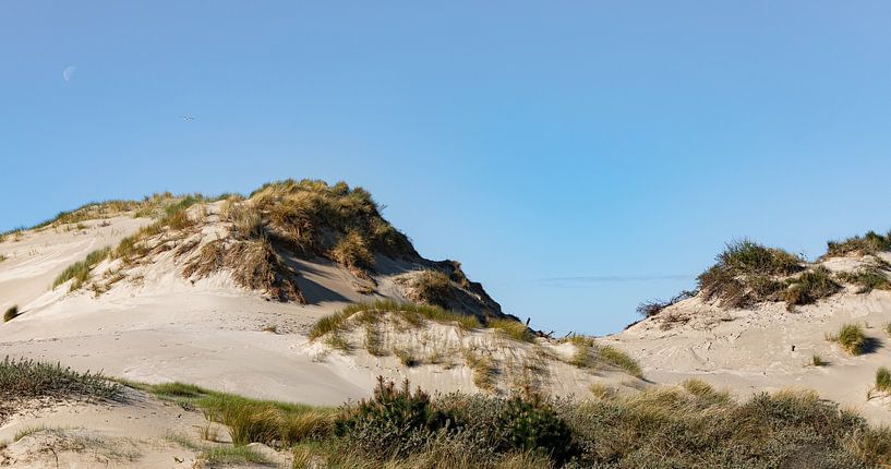 Hilly dune area in Westenschouwen 2 by Percy's fotografie