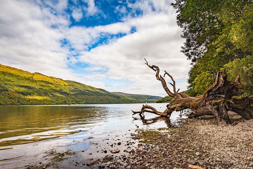 Scotland Loch Lomond 1 by Freddy Hoevers