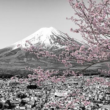 Betoverend uitzicht op Fuji tijdens de kersenbloesem | colorkey van Melanie Viola