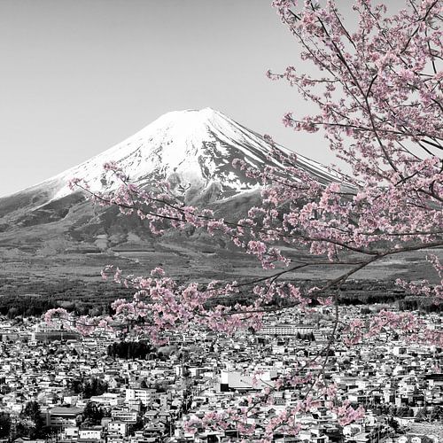 Betoverend uitzicht op Fuji tijdens de kersenbloesem | colorkey