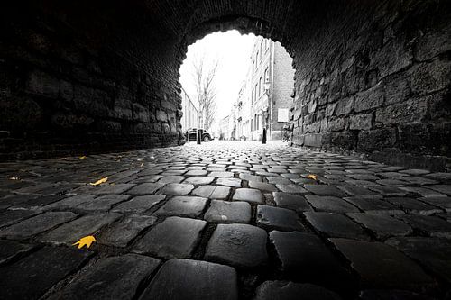 De "Helpoort" van Maastricht met gele herfst bladeren in groothoek (stadspoort)