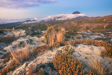 Neuseeland Mount Ngaruhoe im Tongariro Nationalpark von Jean Claude Castor