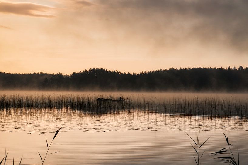 Lever de soleil avec formation de brouillard sur un lac en Suède, à l'aube par Martin Köbsch