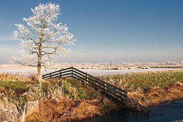 Winter in Friesland van Albert Laverman