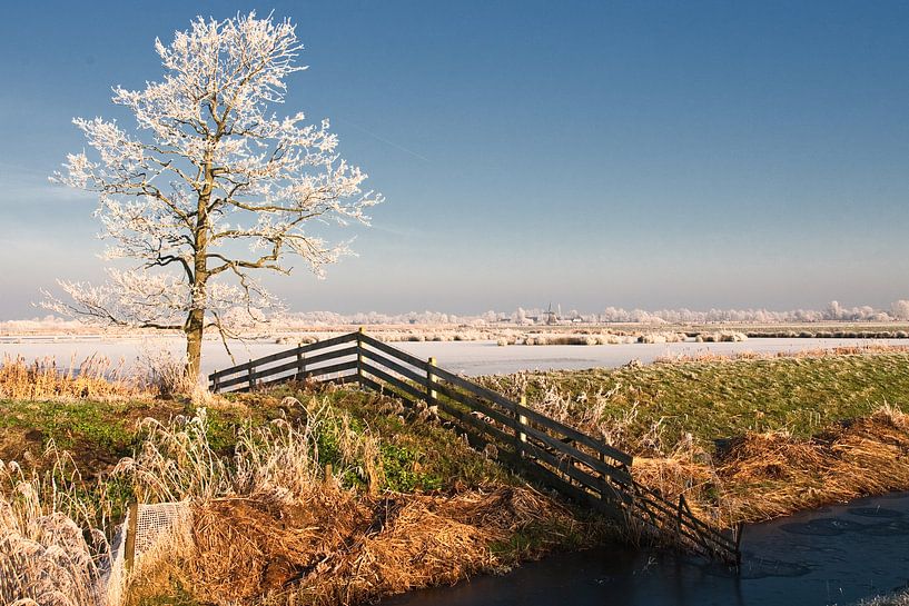 Winter in Friesland von Albert Laverman