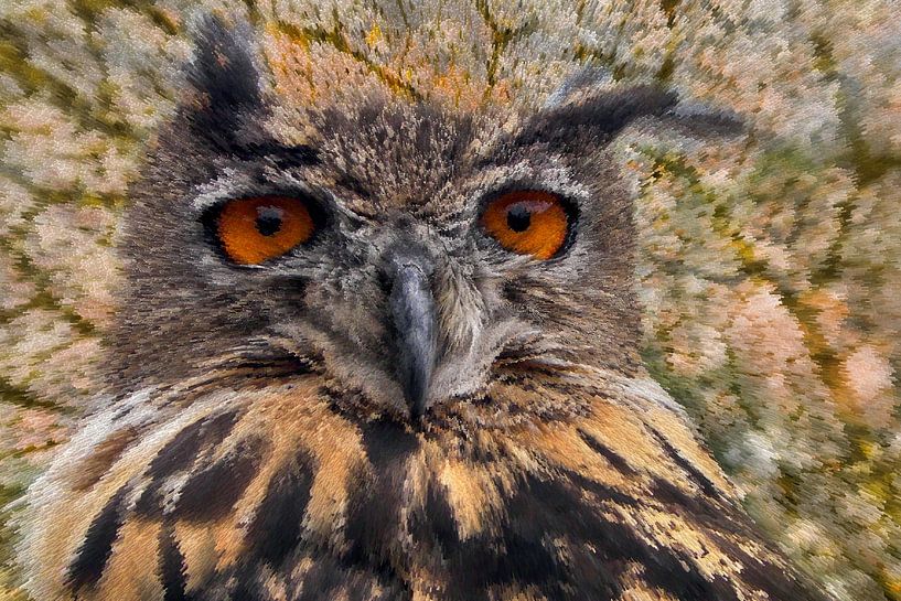 Portrait artistique d'une chouette aux grands yeux par Lisette Rijkers