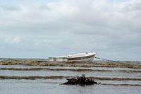 Boot op de noordzee in Denemarken