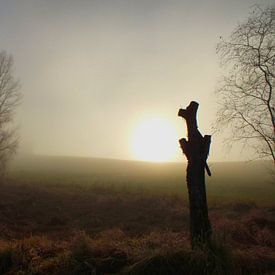 Hiver I sur Ilona Picha-Höberth