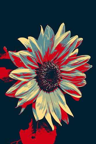 Zonnebloem illustratie
