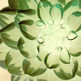 Blume in Grüntönen von Ronald Smits