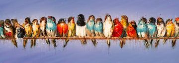 All the colourful birds van Arjen Roos