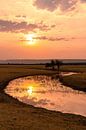 Afrikanischer Sonnenuntergang von Gijs de Kruijf Miniaturansicht