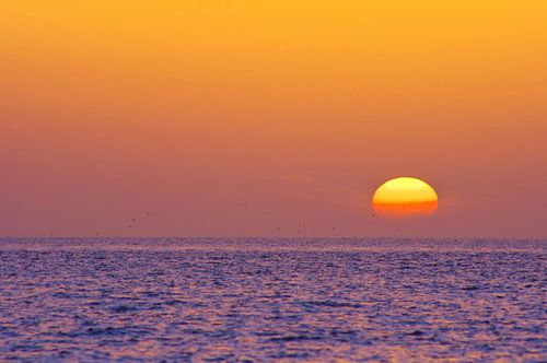 Sunset II
