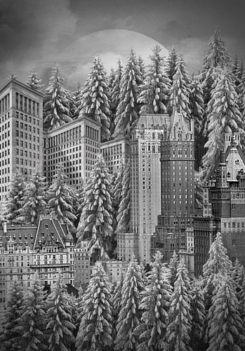 Winters in America
